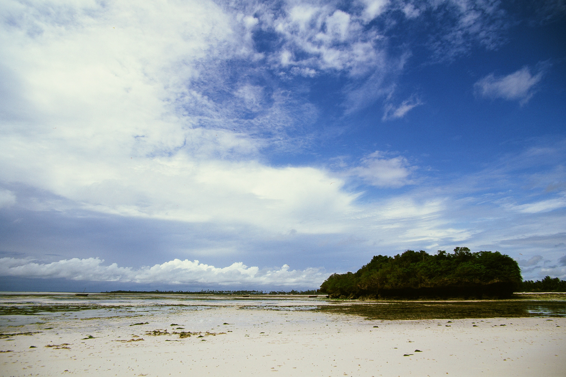 Dude. Someone stole my boat.